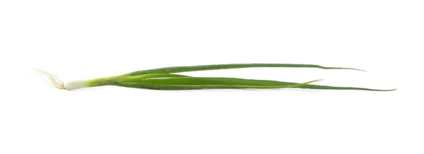 Свежий Зеленый Лук Изолированный Белом — стоковое фото