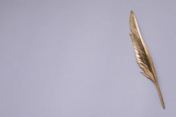 Golden feather on light blue background, top view. Space for text