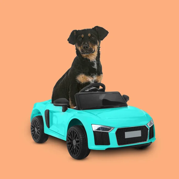 Cachorrinho Adorável Carro Brinquedo Fundo Laranja Pálido — Fotografia de Stock