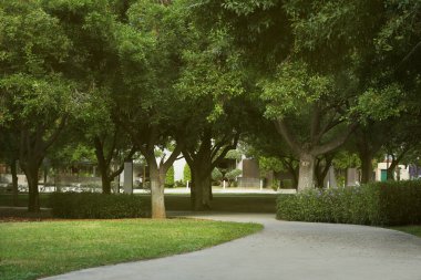 Yollu yeşil parkın güzel manzarası