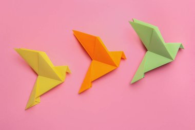 Pembe arka planda güzel renkli origami kuşları, düz yatıyordu.