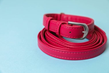 Açık mavi arka planda kırmızı deri köpek tasması, yakın plan. Metin için boşluk