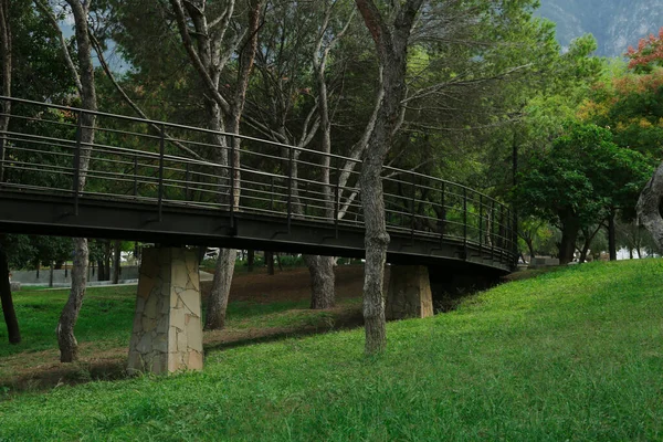 Vista Pitoresca Ponte Com Trilhos Metal Muitas Árvores Parque — Fotografia de Stock