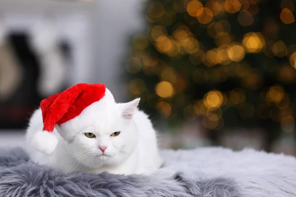 Schattige Kat Met Kerstmuts Bont Tapijt Binnenshuis Ruimte Voor Tekst — Stockfoto