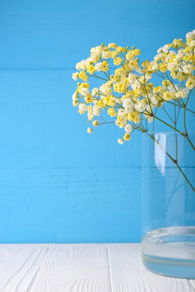 Beautiful dyed gypsophila flowers in glass vase on white wooden table against light blue background. Space for text