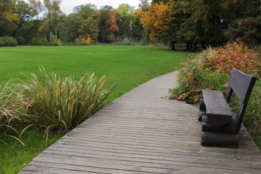 Güzel şehir parkında patikanın yanındaki ahşap bank.