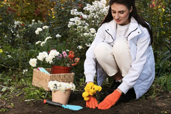 Femme Transplantant Des Fleurs Jaunes Dans Sol Frais Dans Jardin — Photo