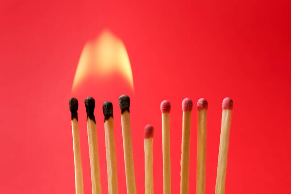 Burning and whole matches on red background, closeup. Stop destruction concept
