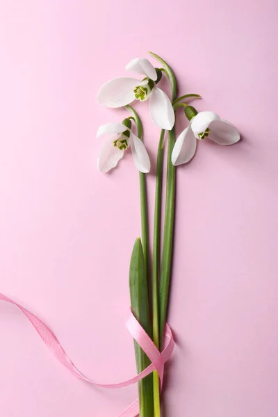 stock image Beautiful snowdrops on pink background, top view