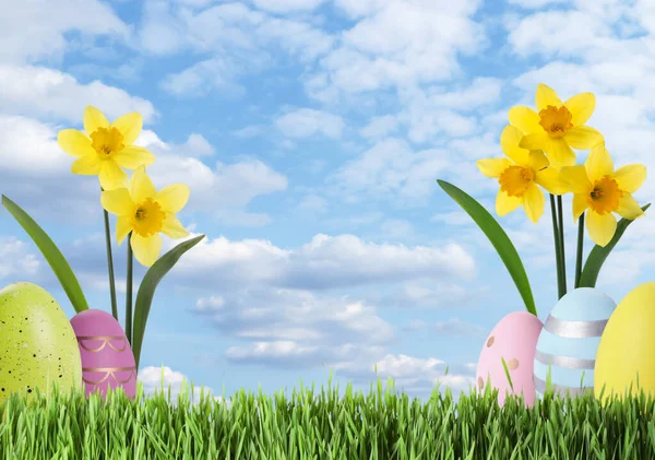 Easter Eggs Daffodils Green Grass Blue Sky Space Text — Zdjęcie stockowe