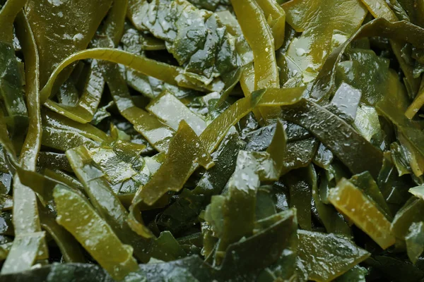 Fresh Laminaria Kelp Seaweed Background Closeup — Stock Photo, Image