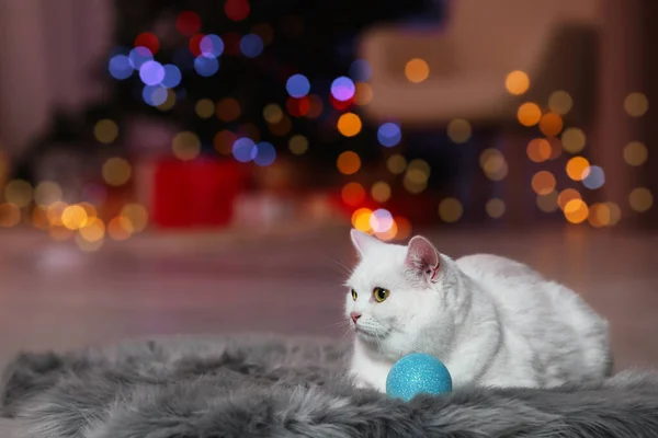Kerstsfeer Schattige Kat Met Bauble Rustend Tapijt Tegen Wazig Licht — Stockfoto
