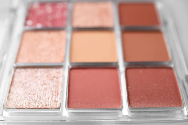 Beautiful Eyeshadow Palette Background Closeup Professional Cosmetic Product — Stok fotoğraf