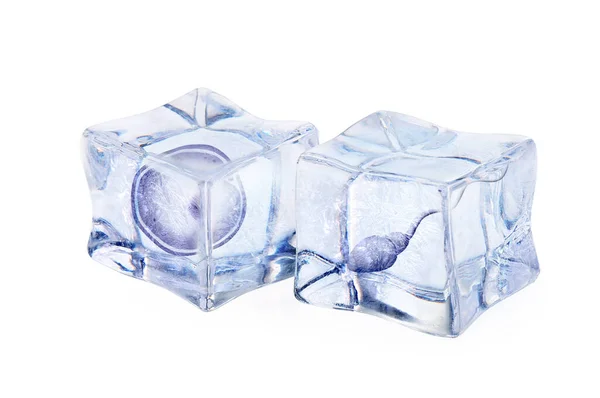 Genetik Materyalin Dondurulması Ovum Sperm Hücreleri Beyaz Arkaplanda Buz Küplerinde — Stok fotoğraf