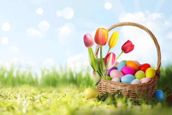 Wiklinowy Koszyk Malowanymi Jajkami Wielkanocnymi Tulipanami Zielonej Trawie Słoneczny Dzień — Zdjęcie stockowe