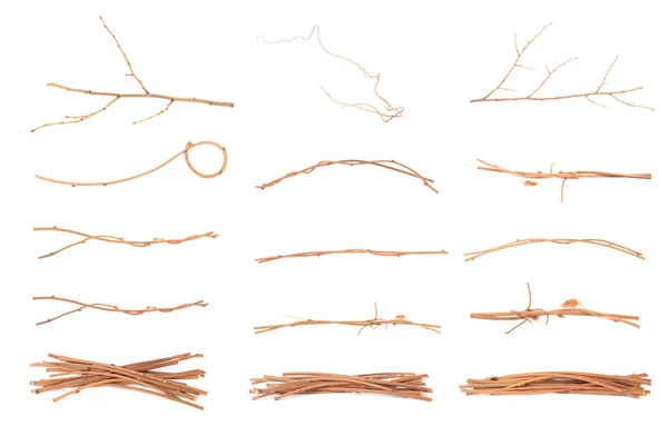 Collage Mit Trockenen Zweigen Auf Weißem Hintergrund — Stockfoto