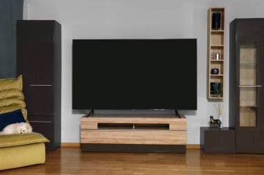 Ahşap masada modern plazma TV ve oturma odasındaki diğer mobilyalar.