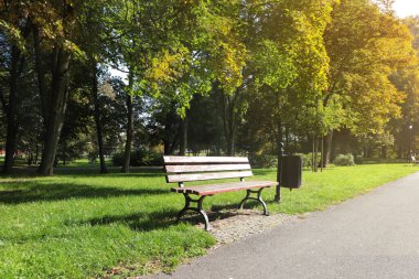 Güneşli bir günde ahşap bankla güzel bir şehir parkı manzarası.