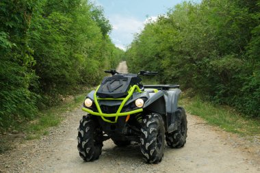Modern quad bike on pathway near trees outdoors