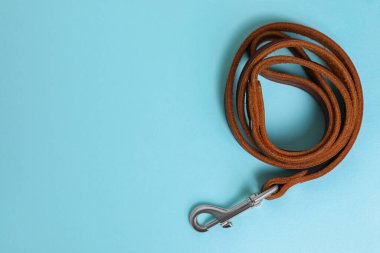 Açık mavi arka planda kahverengi deri köpek tasması, üst manzara. Metin için boşluk