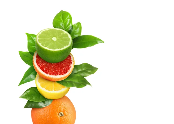 Stack Olika Färska Citrusfrukter Med Gröna Blad Vit Bakgrund — Stockfoto