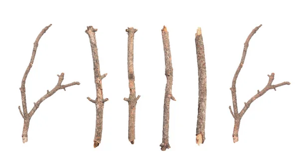 Collage Dry Tree Twigs White Background Top View — Stock Photo, Image