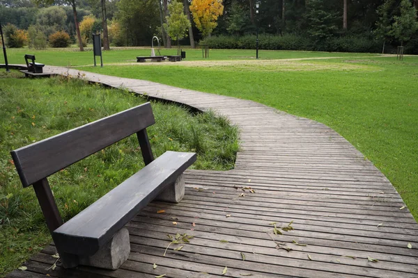 Güzel şehir parkında patikanın yanındaki ahşap bank.
