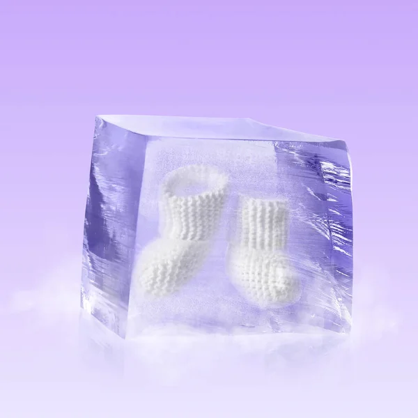 Conservation of genetic material. Knitted baby booties in ice cube as cryopreservation on violet background