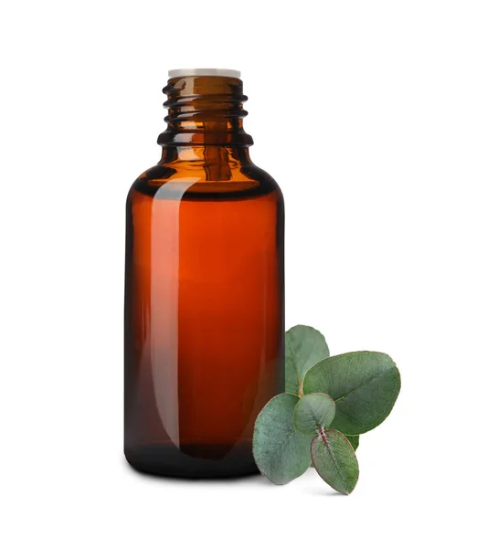 Eine Flasche Ätherisches Eukalyptusöl Und Grüne Blätter Auf Weißem Hintergrund — Stockfoto