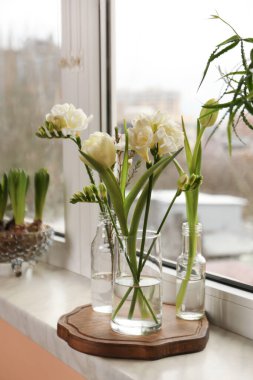 Different beautiful spring flowers on windowsill indoors
