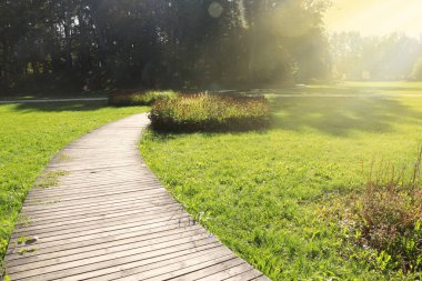 Güneşli bir günde güzel şehir parkında yol