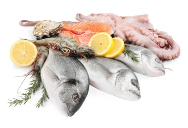 Beyaz arka planda taze dorado balığı, ahtapot, karides, istiridye ve somon.