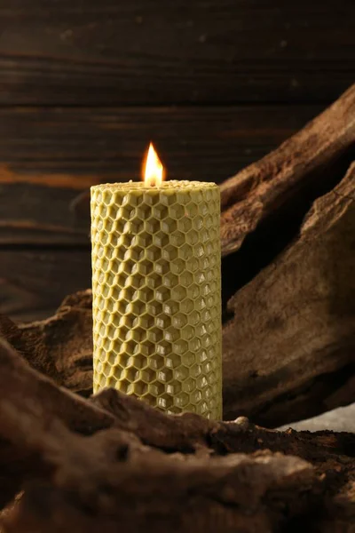 Beautiful burning beeswax candle on snag near wooden wall