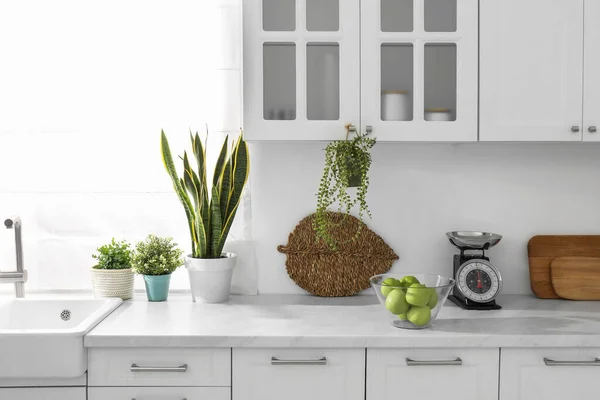 キッチンの白いカウンタートップにスタイリッシュなスケール リンゴと観葉植物 インテリアデザイン — ストック写真