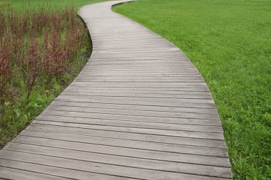 Yolları ve yeşil çimenleri olan güzel bir şehir parkı