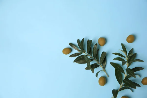 Olives Fraîches Feuilles Vertes Sur Fond Bleu Clair Plat Espace — Photo
