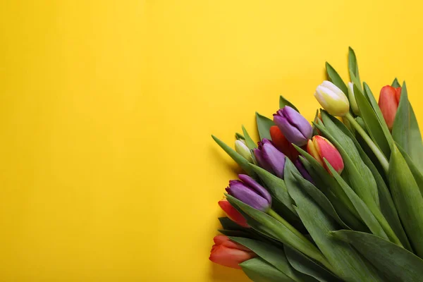 Букет Красивих Тюльпанів Жовтому Тлі Плоский Простір Тексту — стокове фото