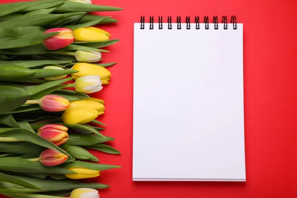 Beautiful Tulips Blank Notebook Red Background Flat Lay — Stock Photo, Image