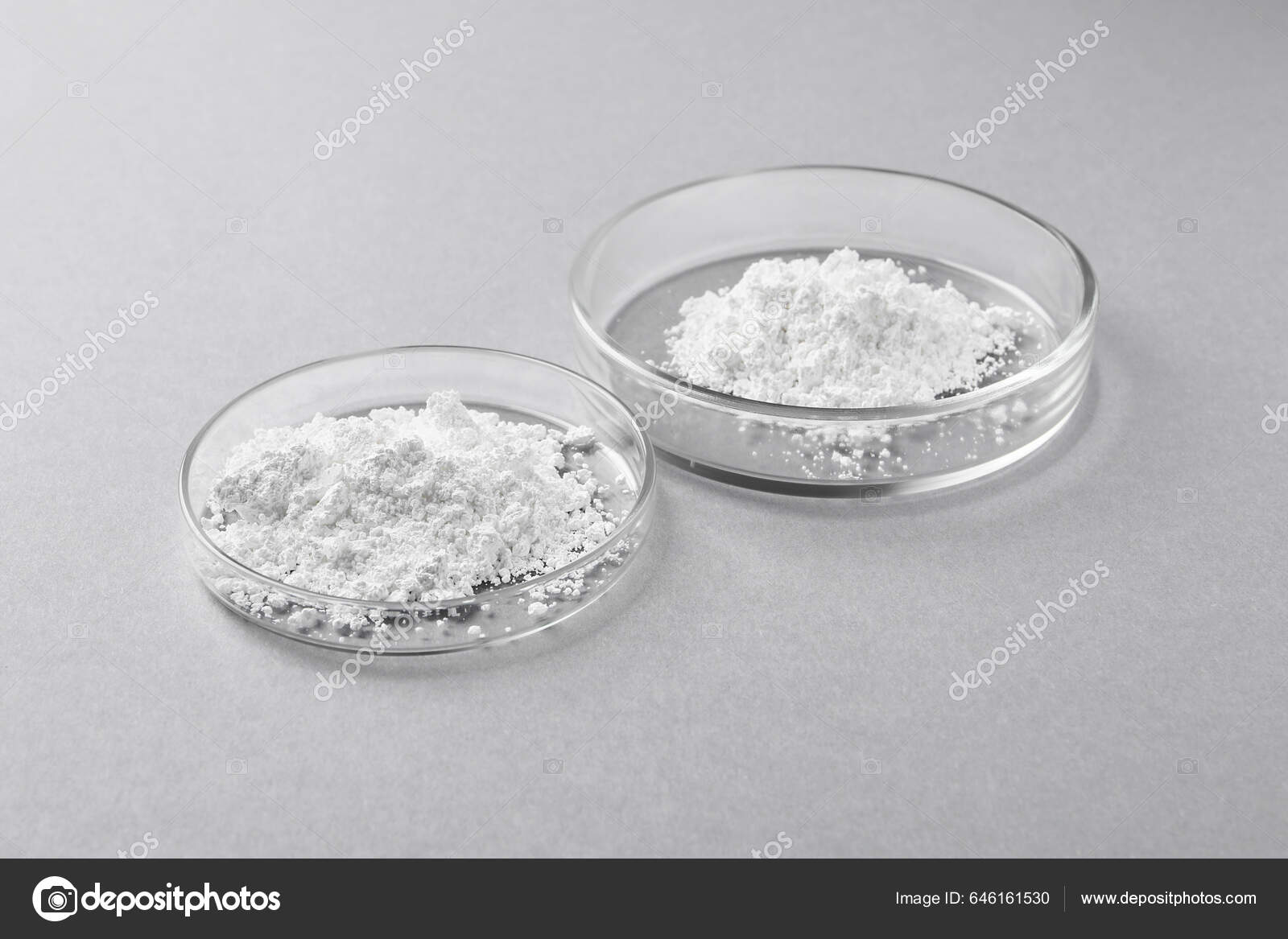Petri Dishes Calcium Carbonate Powder Light Grey Table Stock Photo by  ©NewAfrica 646161530