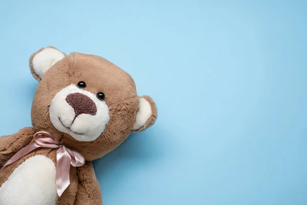 Cute teddy bear on light blue background, top view. Space for text