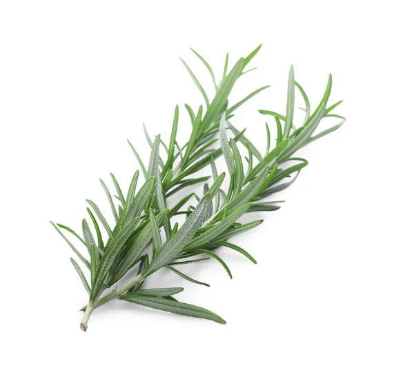 Fresh Green Rosemary Twigs Isolated White — Photo