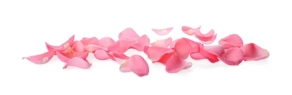 白色背景上美丽的粉红色玫瑰花瓣 — 图库照片