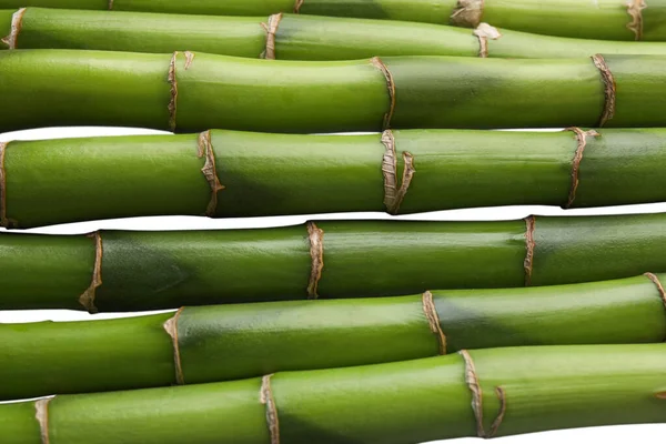 Belos Caules Bambu Verde Como Fundo Close — Fotografia de Stock