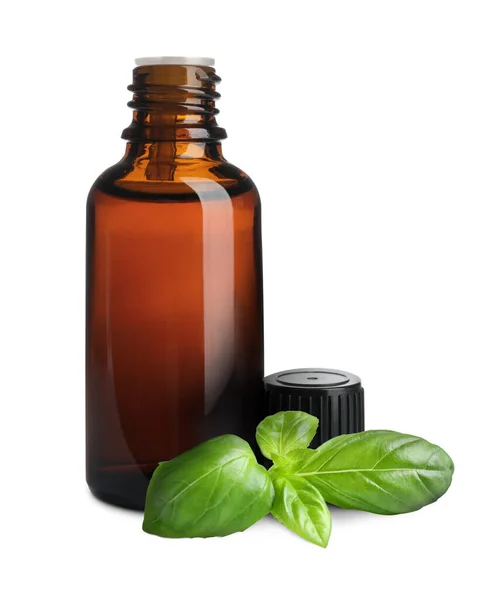 Bottle Basil Essential Oil Green Leaves White Background — Stock Photo, Image