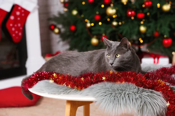 Leuke Kat Met Kleurrijk Knutsel Tafel Kamer Ingericht Voor Kerstmis — Stockfoto