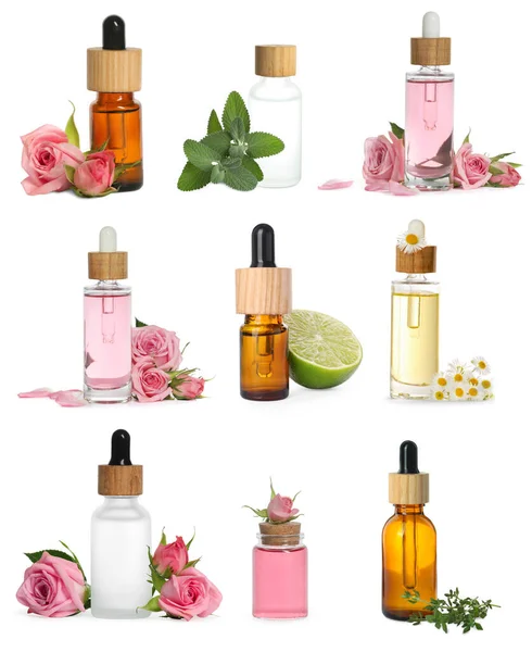 Many Different Essential Oils Ingredients White Background Collage — Stock Photo, Image