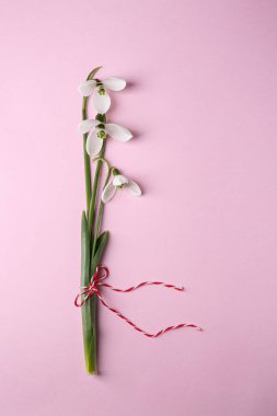 Pembe arka planda bir sürü güzel kar damlası.