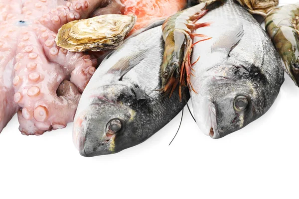 stock image Fresh dorado fish, octopus, oyster and shrimps on white background, closeup