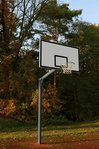 Ağlarla Çevrili Basketbol Tahtası — Stok fotoğraf