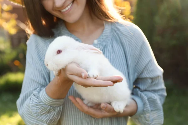 밖에서 귀여운 토끼를 — 스톡 사진